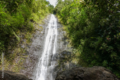 Konstfotografi Manoa Falls plunges down a steep mossy rock face framed by tree ferns and dense rainforest foliage, seen from the boulders at its base on O'ahu
