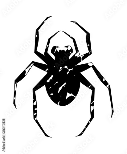 Bild auf Leinwand Spider halloween icon, spooky cartoon black widow spider isolated