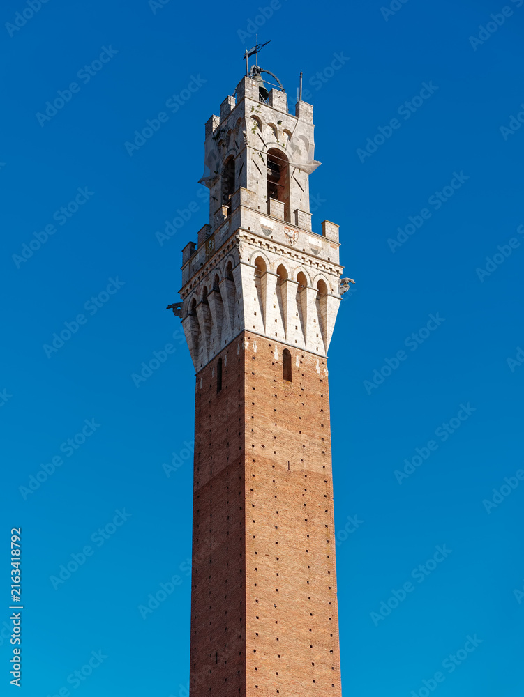 Naklejka premium Mangia Tower ( translated Torre del Mangia) Bell tower Siena Tuscany Italy