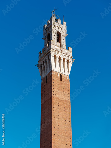 Mangia Tower ( translated Torre del Mangia) Bell tower Siena Tuscany Italy