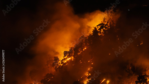 Foto A fierce pine forest fire engulfing the hillside in the darkness of night, with billowing smoke