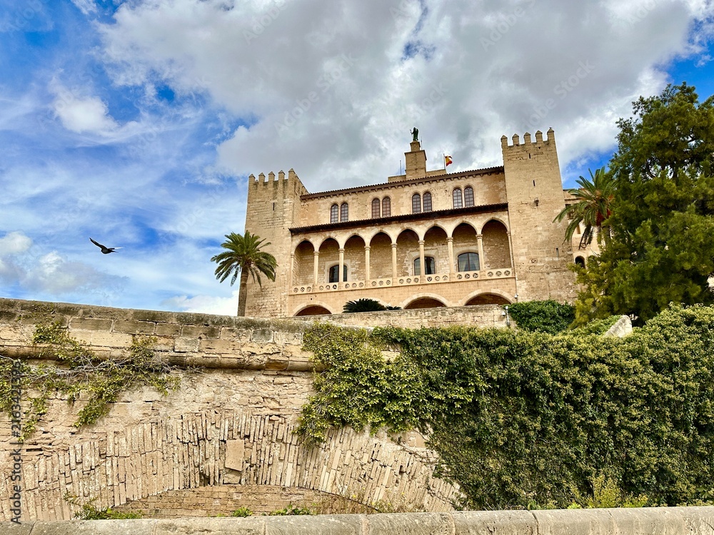 Fototapeta premium old castle in spain