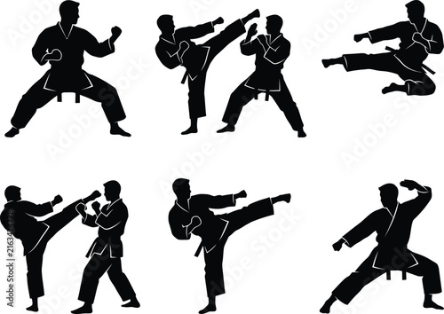 Fotografie Set of martial arts fighter silhouettes performing karate kicks and punches vect