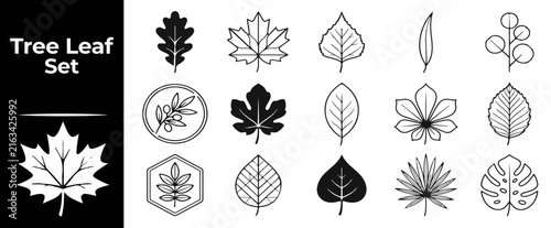 Black and white tree leaf icon collection, including detailed outline shapes for graphic art.
