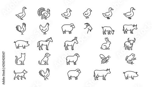 Farm Animals and Rural Livestock Line Icon Set Featuring Poultry, Cattle, Sheep, Horse, Pig, and Domestic Pets for Countryside Agriculture Designs