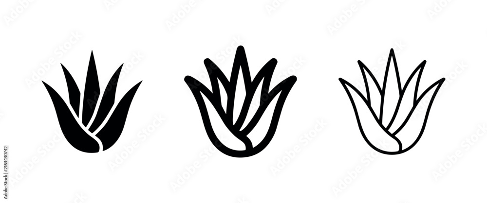 Fototapeta premium Succulent plant icon set. Aloe vera, natural, and botanical symbols in various line styles.