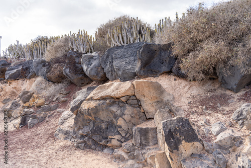 A coastal landscape featuring black volcanic rocks and desert plants, evoking a sense of arid beauty, in Lanzarote, Spain.
