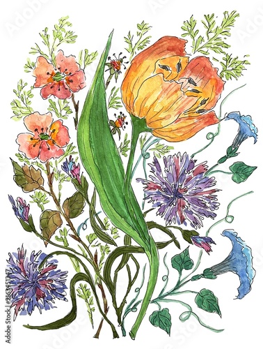 Beautiful bouquet of wild flowers, watercolor illustration