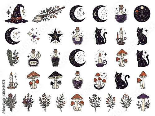 Collection of mystical witchcraft elements with moon phases potions and herbs on white background