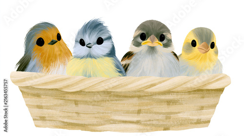 Four baby birds sitting in a woven basket