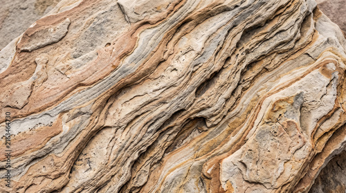 Detailed close-up of a natural sandstone rock slab showing complex eroded sedimentary layers, wavy mineral veins, and organic geological patterns in earthy tan and beige tones.
