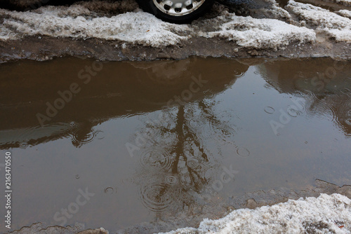 Fotografie Rain falls into a puddle beside melting roadside snow