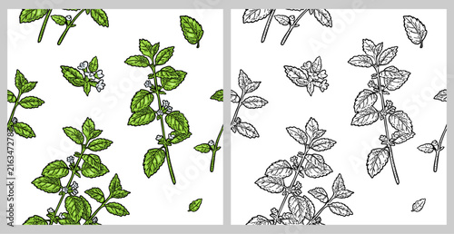 Obraz na płótnie Seamless pattern with melissa plant with leaves and flower