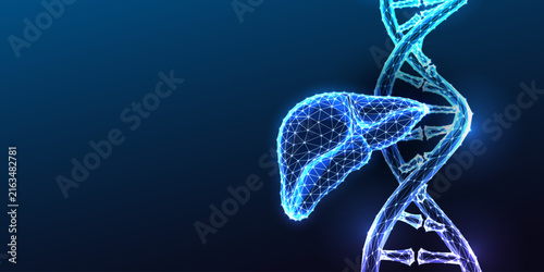 DNA Double Helix Liver Genetics Hepatitis Cirrhosis Hereditary Disease Glowing Blue Polygonal Vector