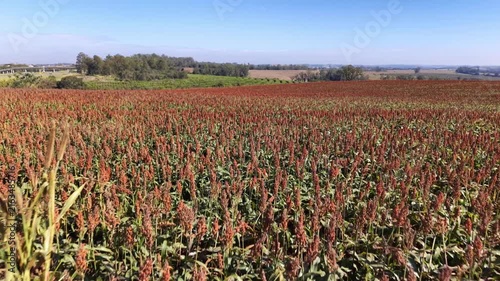 Aerial view of agricultural fields and farmland in a sunny day