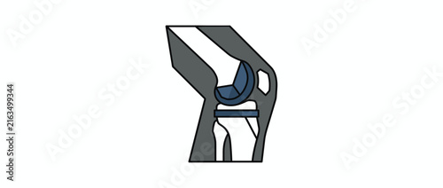 Knee Joint Anatomy Illustration Isolated