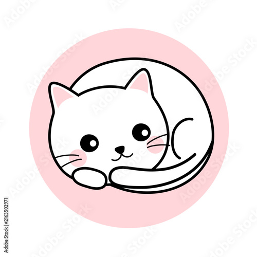 丸くなるかわいい白猫