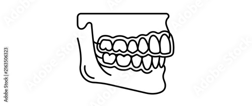 Medical Dental Diagram of Jaw with Clear Aligners