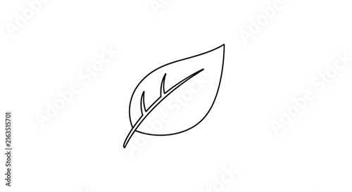 Detailed drawing of a single leaf.