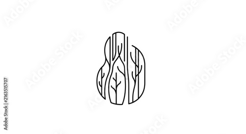 Detailed illustration of a tree.