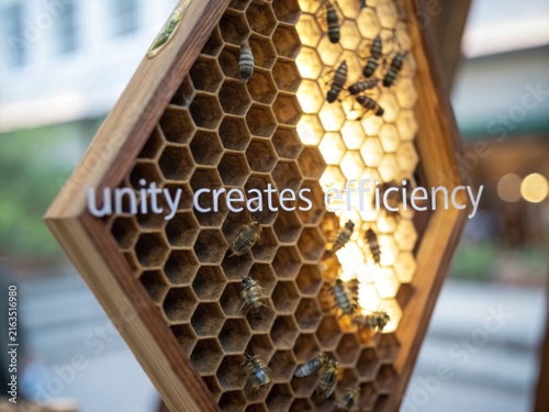 Bees working in a perfect hexagonal honeycomb structure with the text 