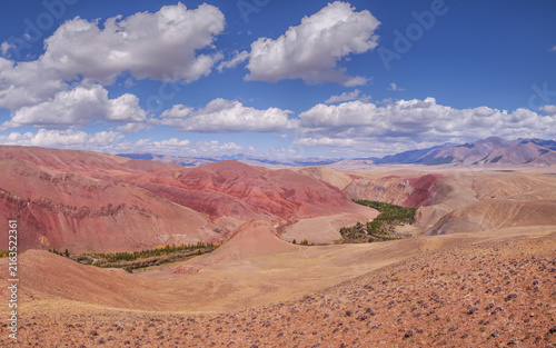 Foto Dry Mongolian landscapes of the south of Altai