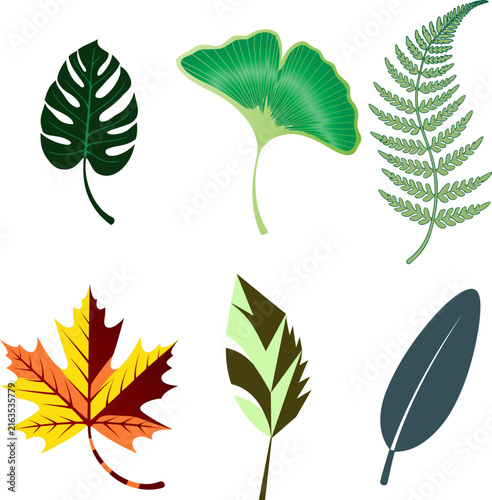 Six stylized leaves in various shapes and colors. Green, yellow, and red hues add natural vibrancy. Designs represent tropical, fern, and autumn foliage. Flat style suits graphic design