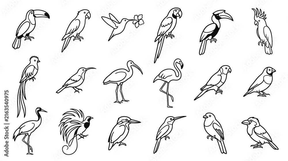 Naklejka premium Black and White Line Art Birds Set. Avian Wildlife Collection. Hand Drawn Nature Icon Doodles and Sketches.