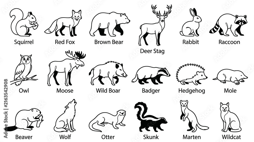 Obraz premium Wildlife Animal Icons Black and White Line Art Set. Mammals and Bird Outlines for Nature Education.