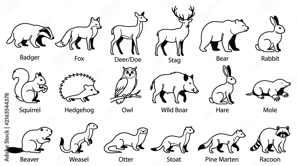 Fototapeta premium Black and White Line Art Animals: Forest Fauna Illustration for Wildlife Education