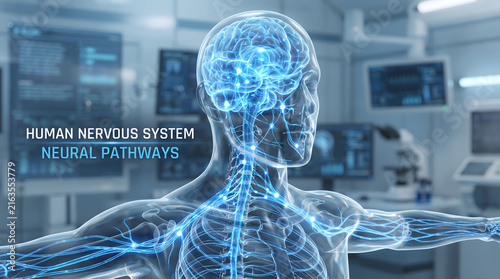 3D Medical Illustration of Human Nervous System Showing Brain and Nerve Network in Glowing Blue Light