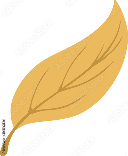 leaf