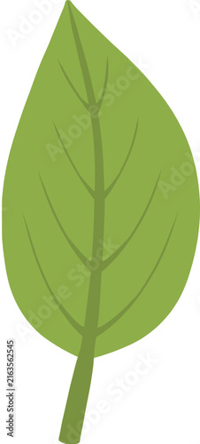 green leaf vector