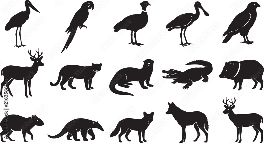Fototapeta premium Set of black silhouettes of pantanal wildlife, including birds, mammals, reptiles, and deer species on a white background