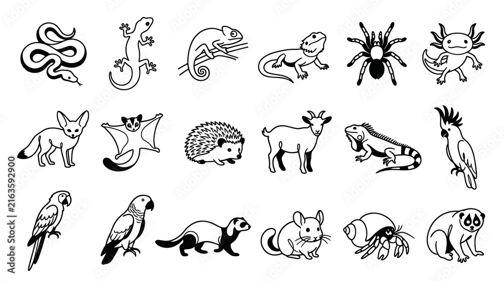 Fototapeta premium Black and White Line Art Collection of Exotic Pets and Animals