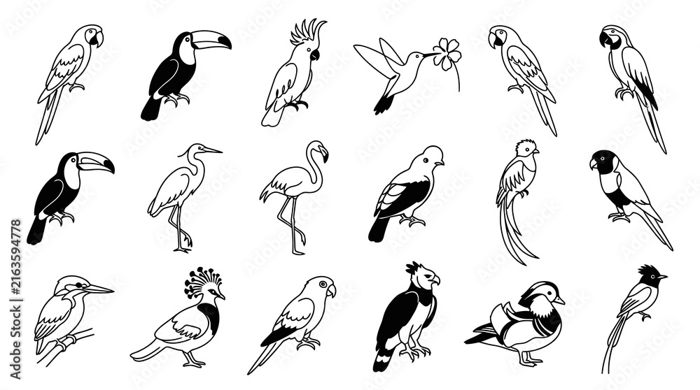 Naklejka premium Black and White Line Art Vector Collection of Tropical Birds