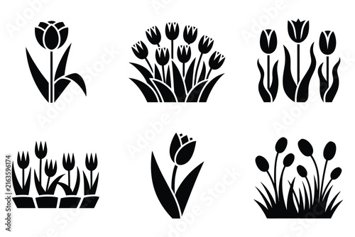 Tulip Flower Icon Set in Black Glyph Style Isolated on White Background