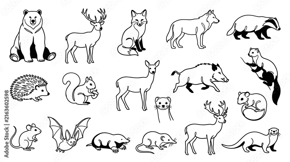Fototapeta premium Black and White Line Art of Various Woodland Animals for Design