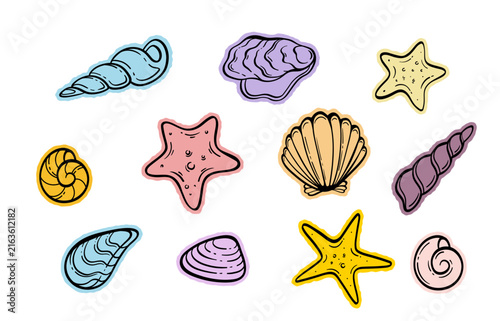 Colorful beach shells starfish hand drawn vector illustration