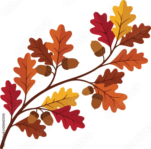 Foto Autumn oak leaf branch vector illustration with acorns