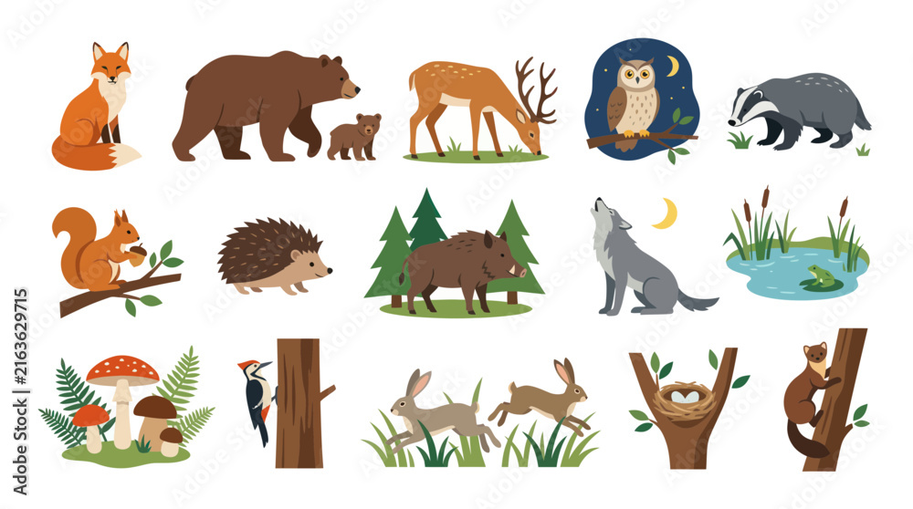 Obraz premium Flat Vector Illustration of Forest Animals in Nature, Wildlife Collection