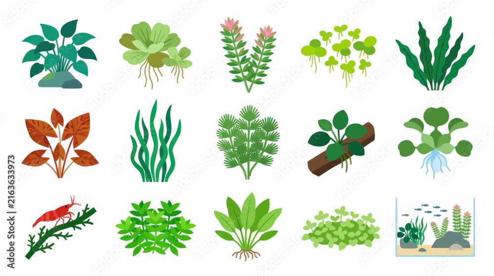 Naklejka premium Flat Vector Illustration of Aquatic Plants and Shrimp for Aquarium Design