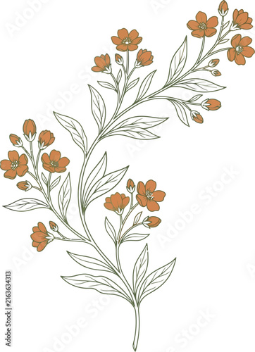 Elegant hand drawn botanical illustration featuring delicate orange flowers and detailed green leaves on a white background
