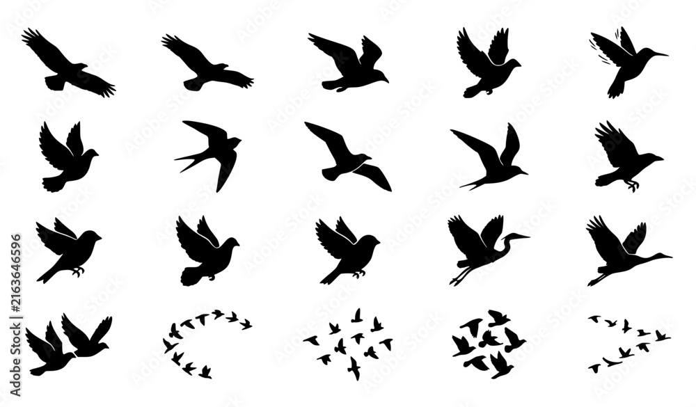 Naklejka premium Wild Bird Flight Silhouette Black White Symbol Set