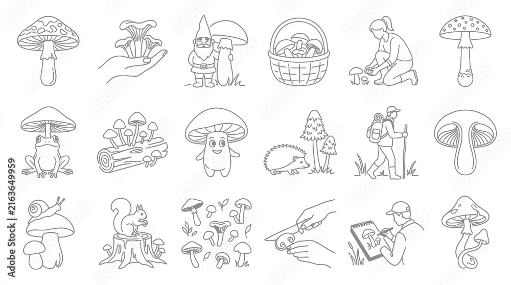Obraz premium Nature Fungi Mushroom Foraging Black and White Line Art Set. Outline Icons and Forest Illustrations.