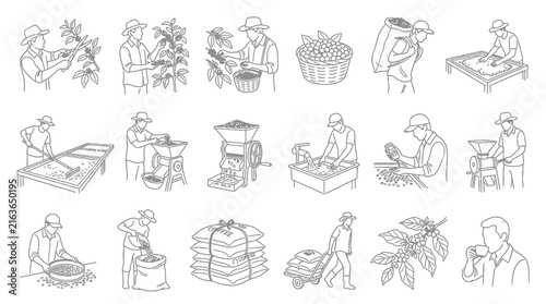 Coffee Farming Process Line Art Icons: Harvesting, Processing, Roasting, Drinking