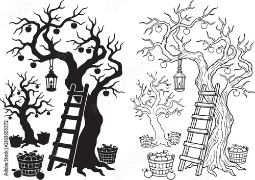 Spooky apple tree silhouette and line art, gnarled orchard tree with ladder and lantern, rustic harvest scene vector set