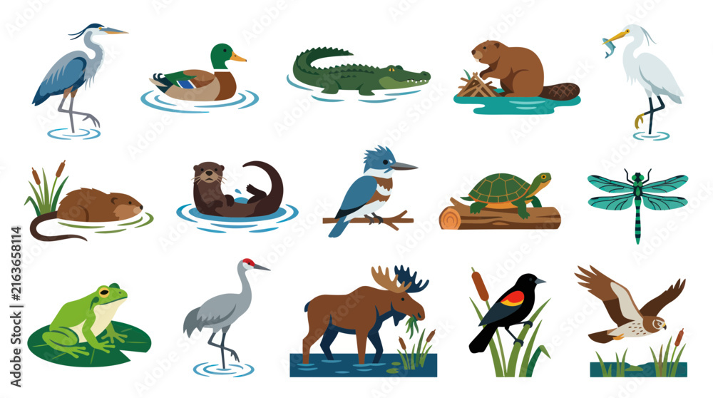 Obraz premium Diverse North American Wetland and Forest Animals Flat Vector Icon Collection for Nature Education