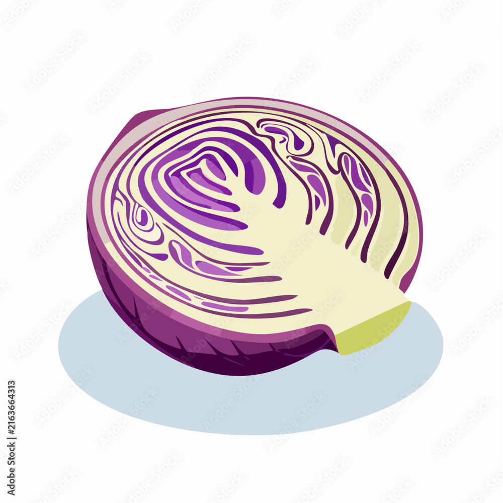 Obraz premium Red cabbage cut in half