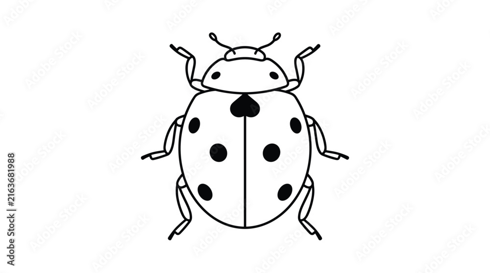 Fototapeta premium Symmetrical ladybug top view outline vector
